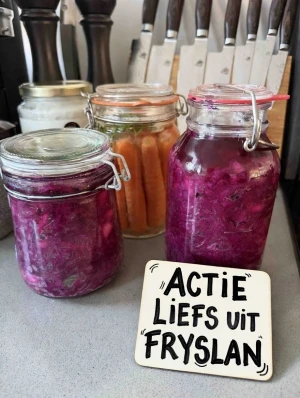 Actie Liefs uit Fryslan: Fermenteren 15% korting