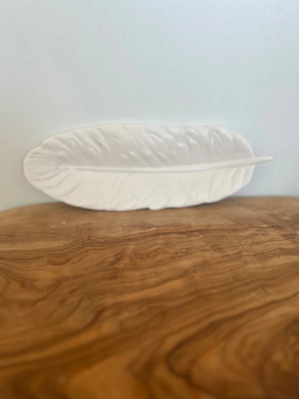 Sieraden schaaltje veer